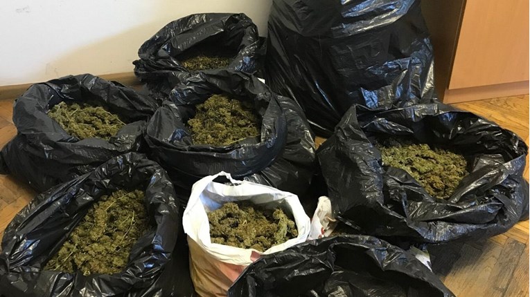 Policija kod muškarca u Trogiru pronašla 17 kilograma marihuane